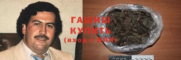 стафф Касимов