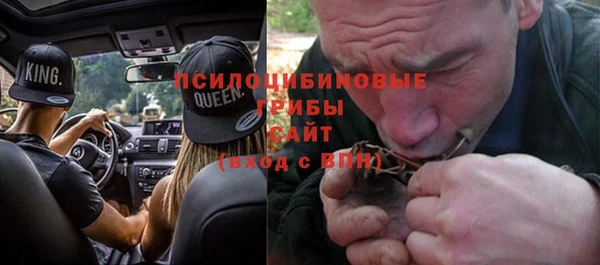 мяу мяу мука Каменка