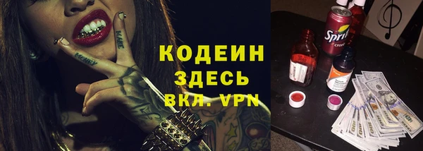 гашик Карпинск