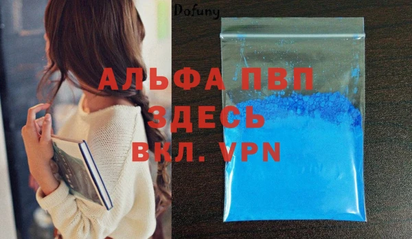 гашик Карпинск